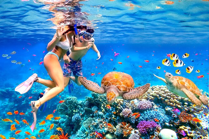 [Blue Ocean Snorkeling] Waikiki Turtle Canyon Snorkeling 6 in 1 - Activity Details