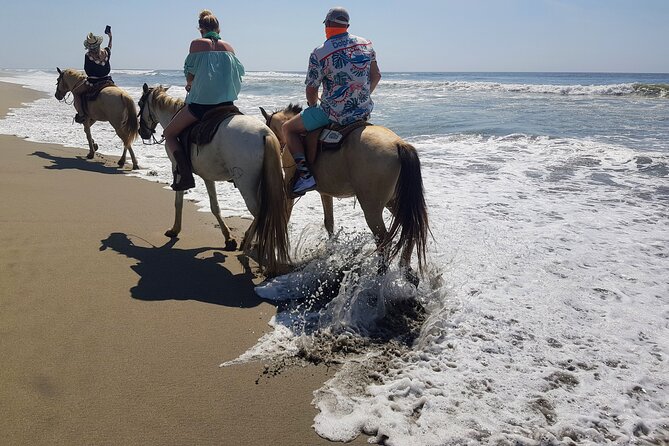 Boat Ride-Gentle Beach Beach Horseback RideLunch-Crocs-Turtles - Lunch Options