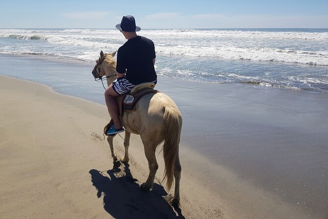Boat Ride-Gentle Beach Beach Horseback RideLunch-Crocs-Turtles - Gentle Beach Horseback Ride