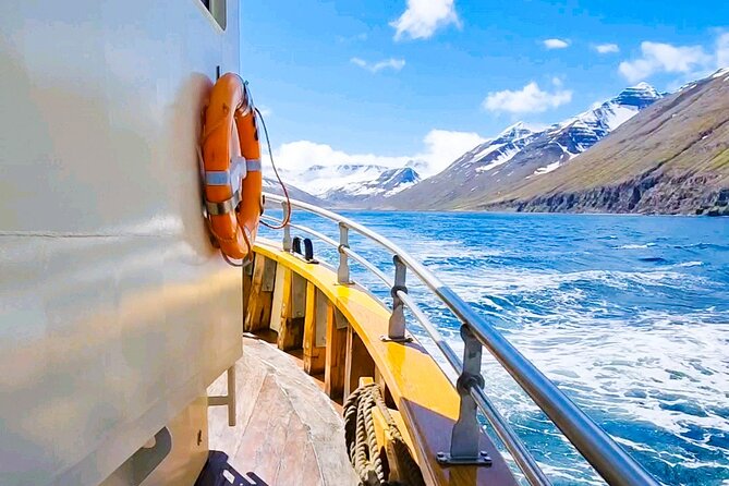 Boat Tours From Siglufjörður - Siglufjörður as a Starting Point