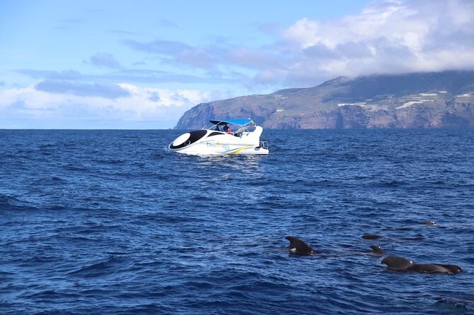 Boat Trip Along the Northwest Coast of La Palma - Additional Information and Support