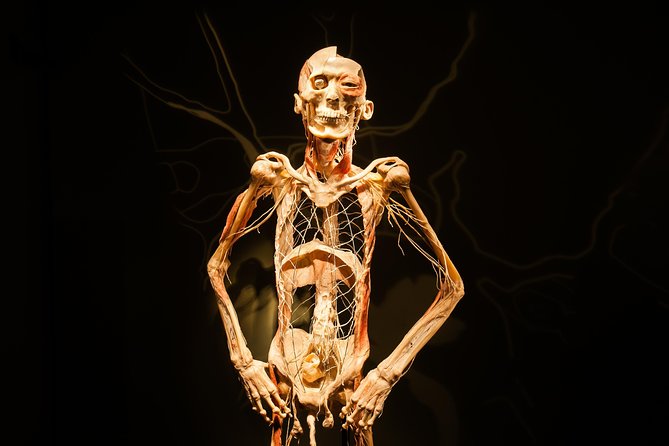 Bodies The Exhibition at the Luxor Hotel and Casino - The Luxor Hotel and Casino Location