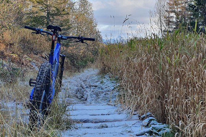 Bodø E-Bike Guided Ride  - Bodo - Meeting and Pickup
