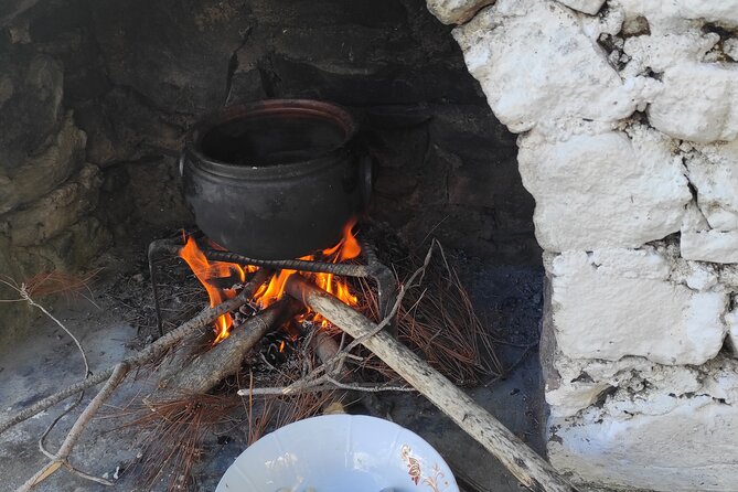 Bodrum Rustic Lunch and Olive Tasting Tour - Olive Tasting Session