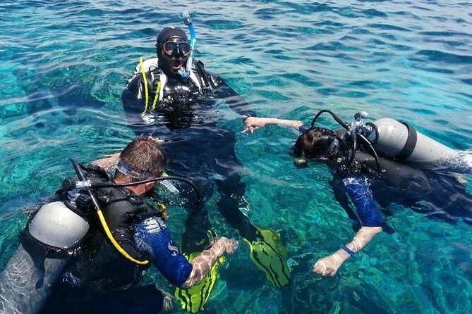 Bodrum Scuba Diving Tour With Free Hotel Transfer By Locals - Ratings and Reviews From Viator and Tripadvisor