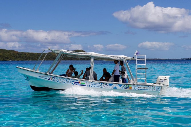 Bora Bora Eco Snorkel Cruise Including Snorkeling With Sharks and Stingrays - Overview of Bora Boras Marine Life
