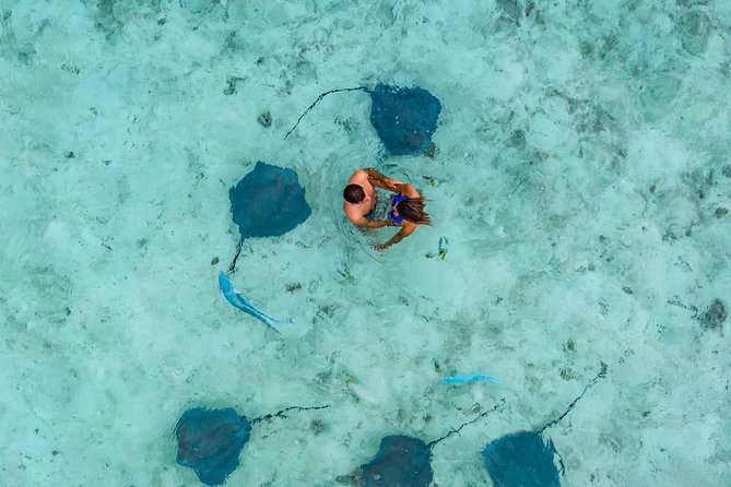 Bora Bora Jet Ski Tour, & Eco Shark / Ray Snorkel Cruise - Customer Reviews