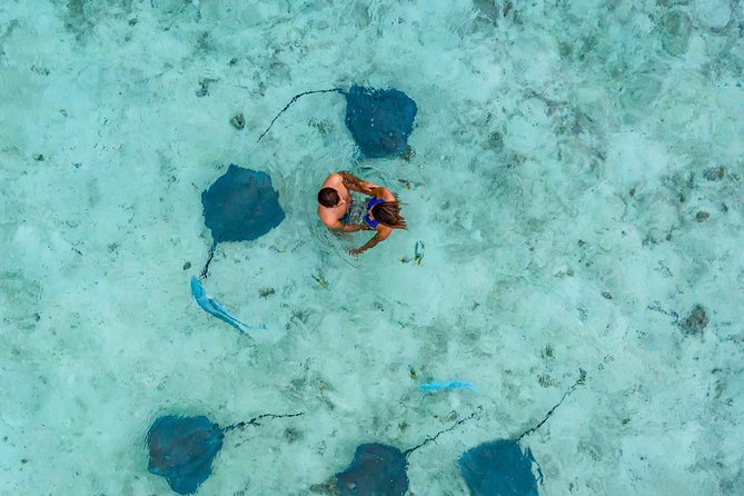 Bora Bora Snorkel Cruise by Polynesian Outrigger Canoe With BBQ Island Lunch - Tour Logistics and Additional Information