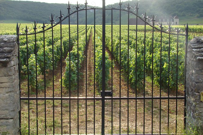 Bordeaux to Medoc & Saint Emilion Wine Tasting / Sightseeing Tour - Guided Tour With Experienced American Expat