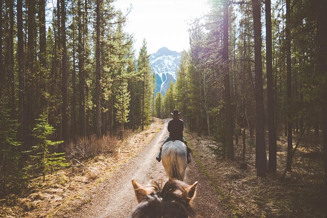 Buffalo Loop 1-Hour Horseback Trail Ride in Kananaskis - Overview of the Experience