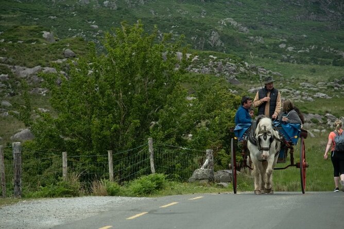 Bus, Boat & Jaunting Cart Tour (Jaunting Cart Paid Separately) - End Point, Cancellation Policy, and Weather