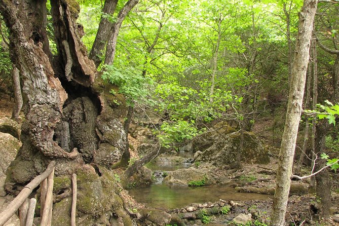 Butterflies Valley & Chalki From Rhodes - Cancellation Policy