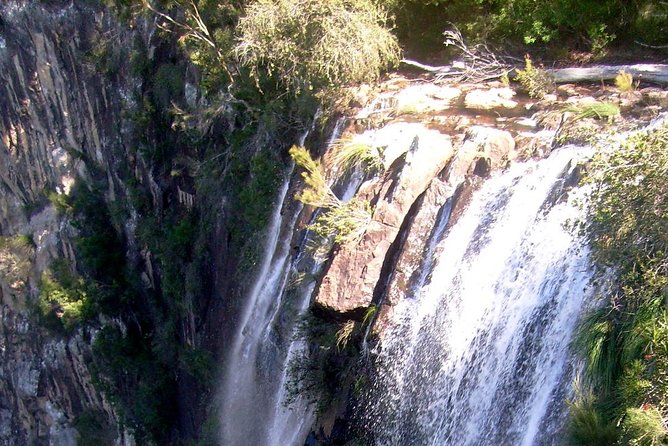 Byron Bay Hinterland Tour Including Rainforest Walk to Minyon Falls - Tour Highlights