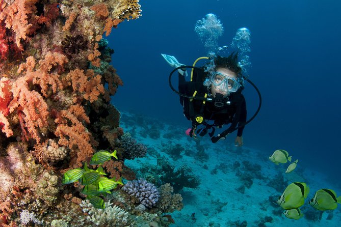 Cabo San Lucas 2 Tank Customized Dive Certified Only - Inclusions