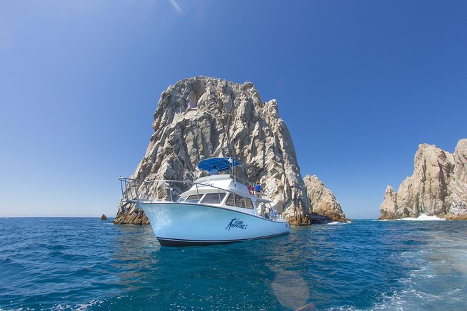 Cabo San Lucas Beginner Scuba Diving Experience - Safety Measures and Instruction