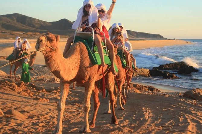 Cabo San Lucas Camel Ride and Encounter on Beach and Desert - Whats Included