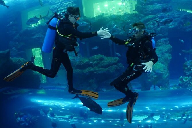 Cage Snorkeling Dubai Mall Aquarium - Pickup and End Point Details
