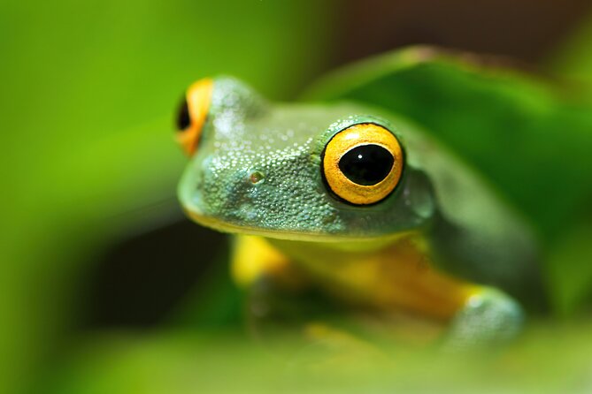 Cairns Aquarium by Sunrise - Cancellation Policy for Cairns Aquarium