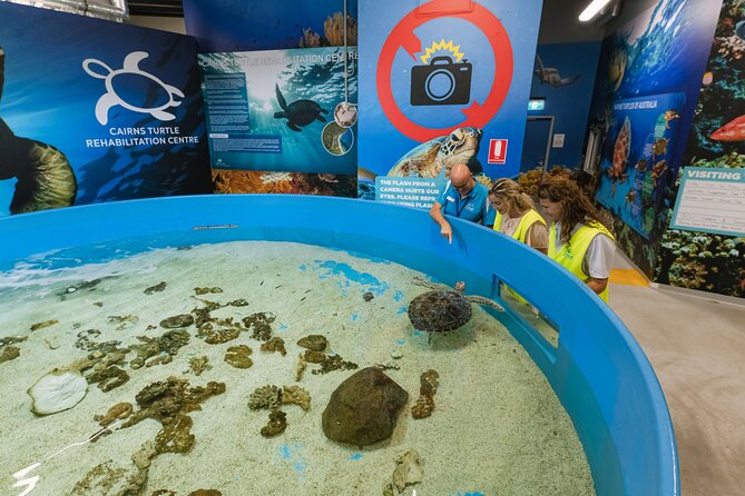 Cairns Aquarium General Admission and Turtle Hospital Tour - Additional Attractions and Exhibits
