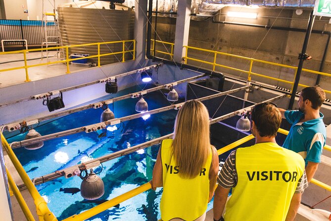 Cairns Aquarium Marine Life Encounter Ticket - Response From Host