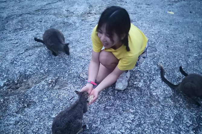 Cairns Hidden Gems, Historic Village Herberton and Tableland - Minimum Traveler Requirement