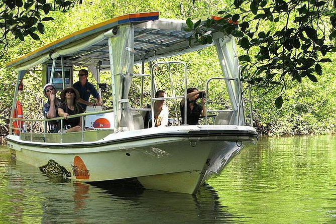Cairns Reef/Rainforest : Daintree Rainforest & Great Barrier Reef - Booking and Availability