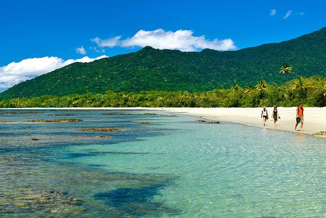 Cairns to Daintree Rainforest Park Private Day Tour With Lunch  - Cairns & the Tropical North - Highlights of the Tour