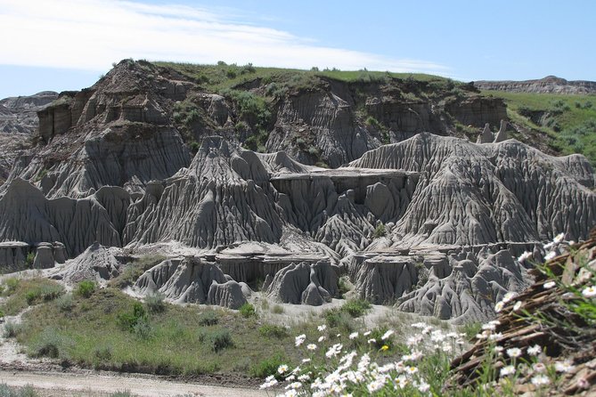 Calgary to Royal Tyrrell Museum Drumheller – PRIVATE TOUR - Inclusions and Exclusions