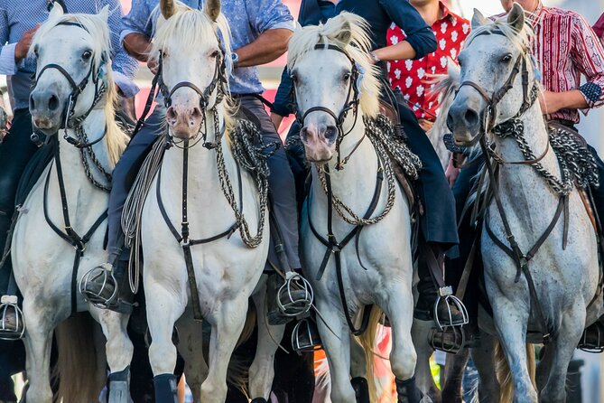 Camargue Small-Group Day Trip From Avignon - Traveler Photos