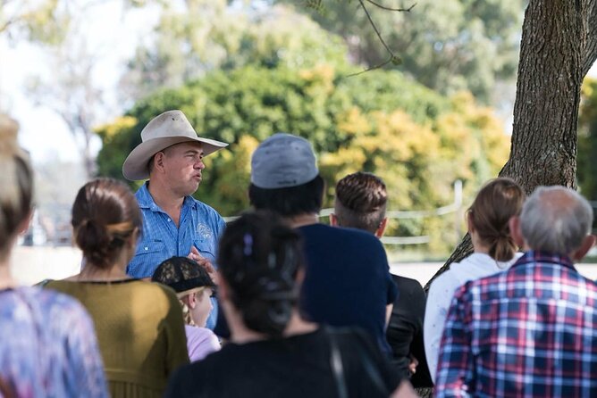 Camel Farm Tour and Taste - What to Expect and Additional Information