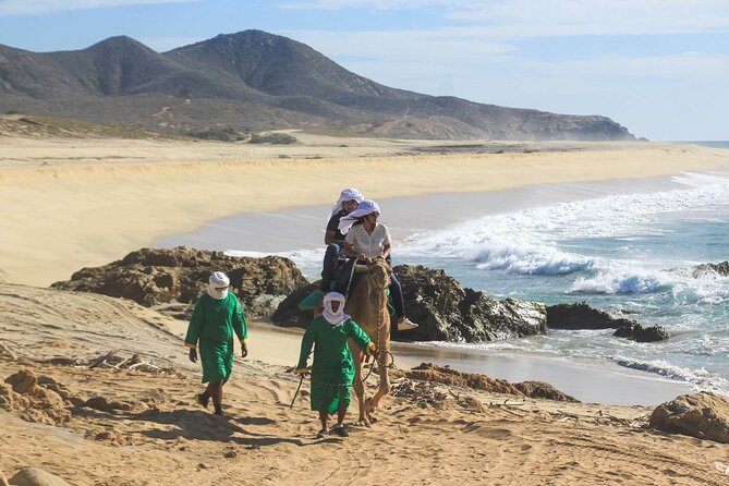Camel Ride & Encounter at Los Cabos - Scenic Pacific Coast Views