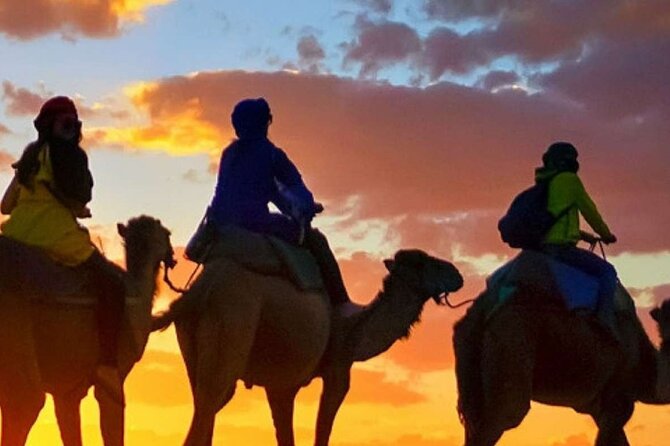 Camel Ride Sunset BBQ Dinner in Agadir - Traveler Photos and Reviews
