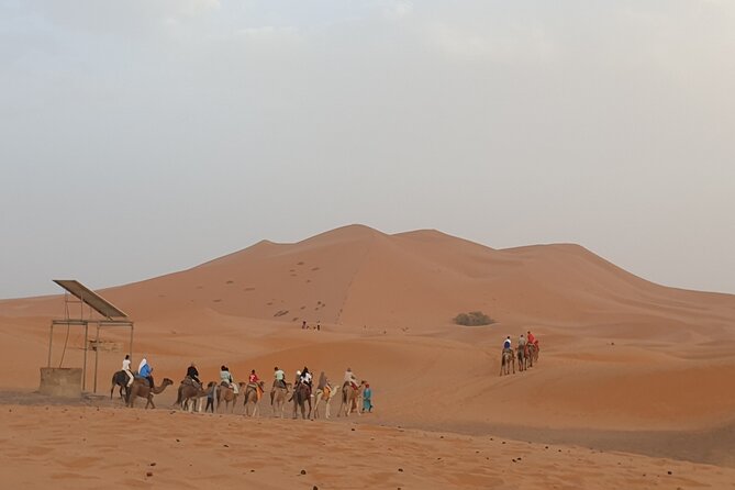 Camel Ride - Private Tour Details
