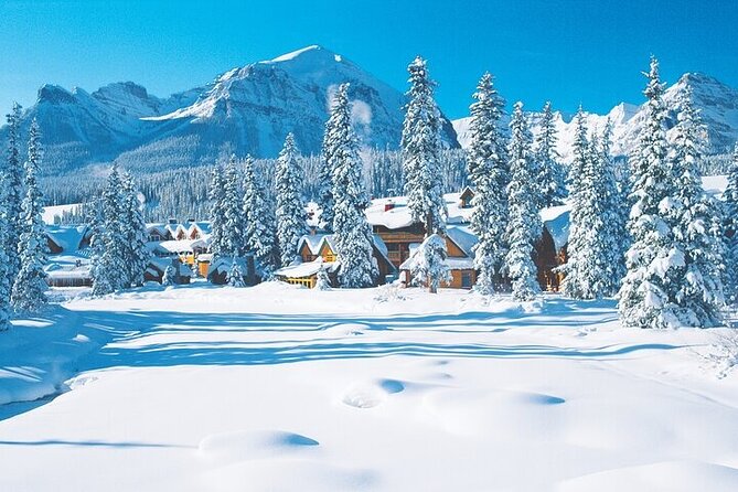 Canadian Rockies Full-Day Winter Tour From Calgary or Banff - Traveler Photos and Experiences