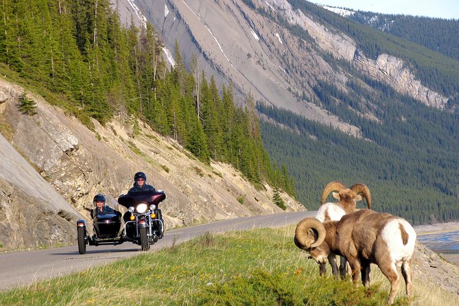 Canadian Rockies Tour by Chauffeured Sidecar From Jasper - What To Expect