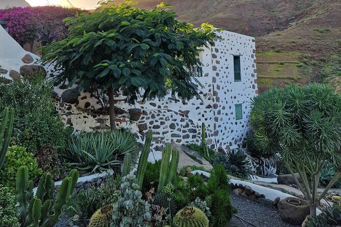 Canarian Farmhouse in Mogan, Mango Farm and Vermouth Factory - History of the Mango Farm