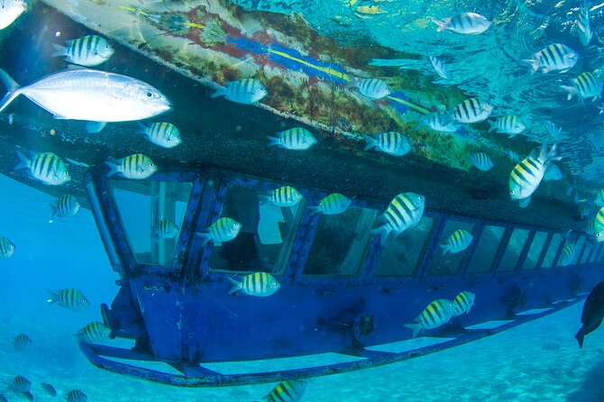 Cancun Glass-Bottom Boat—Underwater Museum and Punta Nizuc - Highlights of the Underwater Museum