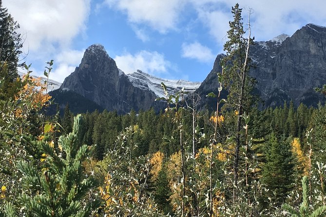 Canmore: Into the Mountains - 4hr Wildlife Safari Drive & Walk - Additional Information
