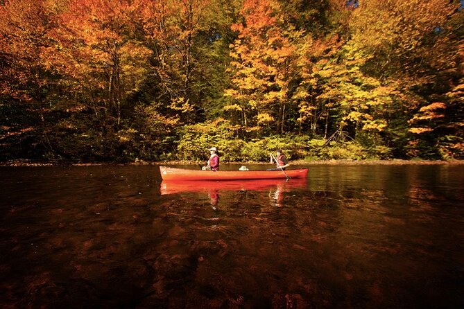 Canoe, Kayak, Paddleboard Rouge River - Self Guided Descent - Tour Overview