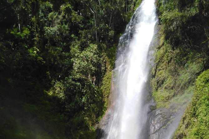 Canyonning & Coffee Experience Half Day - What to Expect During the Canyonning Activity