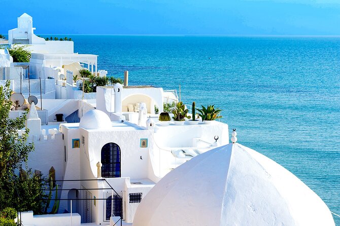 Cap Bon Full-Day Tour W/Lunch From Tunis or Hammamet - Cancellation Policy