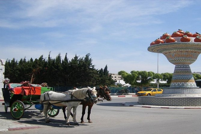 Cap Bon Guided Day Tour From Tunis - Cancellation Policy