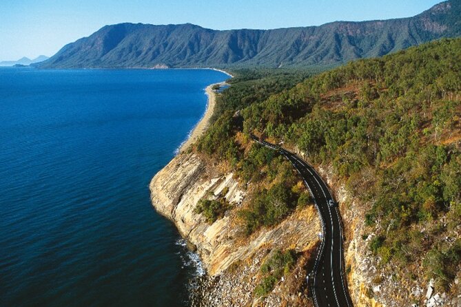 Cape Tribulation and Daintree Wilderness Day Tour in Cairns - Compliance With Pandemic Regulations