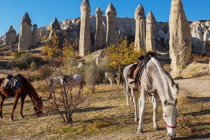 Cappadocia Horse Riding Experience Sunrise Sunset Daytime - Important Information for Travelers