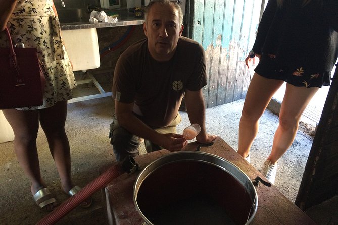 Carcassonne Private Half-Day Winery Visits and Tasting - Wine Tasting Experience