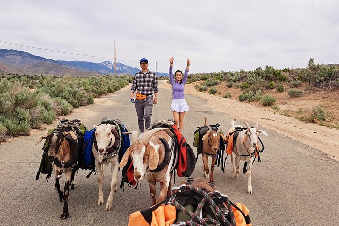 Carson City Small-Group Morning Walk With Goats  - Reno - Additional Information and Requirements
