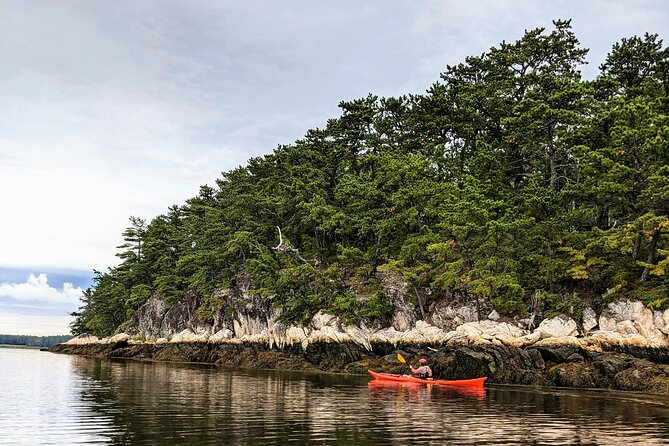 Casco Bay Half-Day Sea Kayak Tour - Additional Info