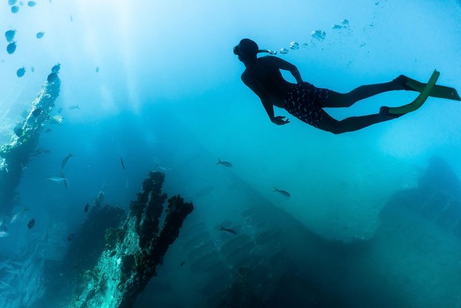 Catalina Bay, Antilla Shipwreck Snorkel Cruise With Open Bar  - Aruba - Positive Customer Experiences and Recommendations