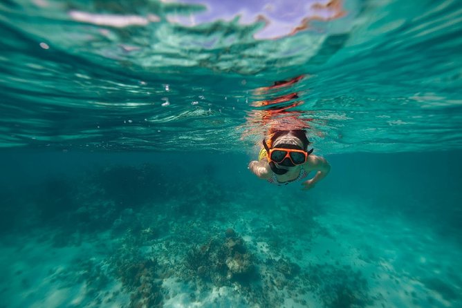 Catamaran and Snorkeling Cruise At Carlisle Bay - Coastal Sail and Scenic Views