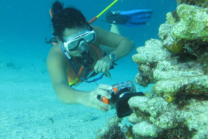 Catamaran Cruise With Snorkeling, Hooka Diving and Parasailing - Pricing and Special Offer
